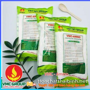 CHẤT ĐIỀU VỊ VMC AMINO